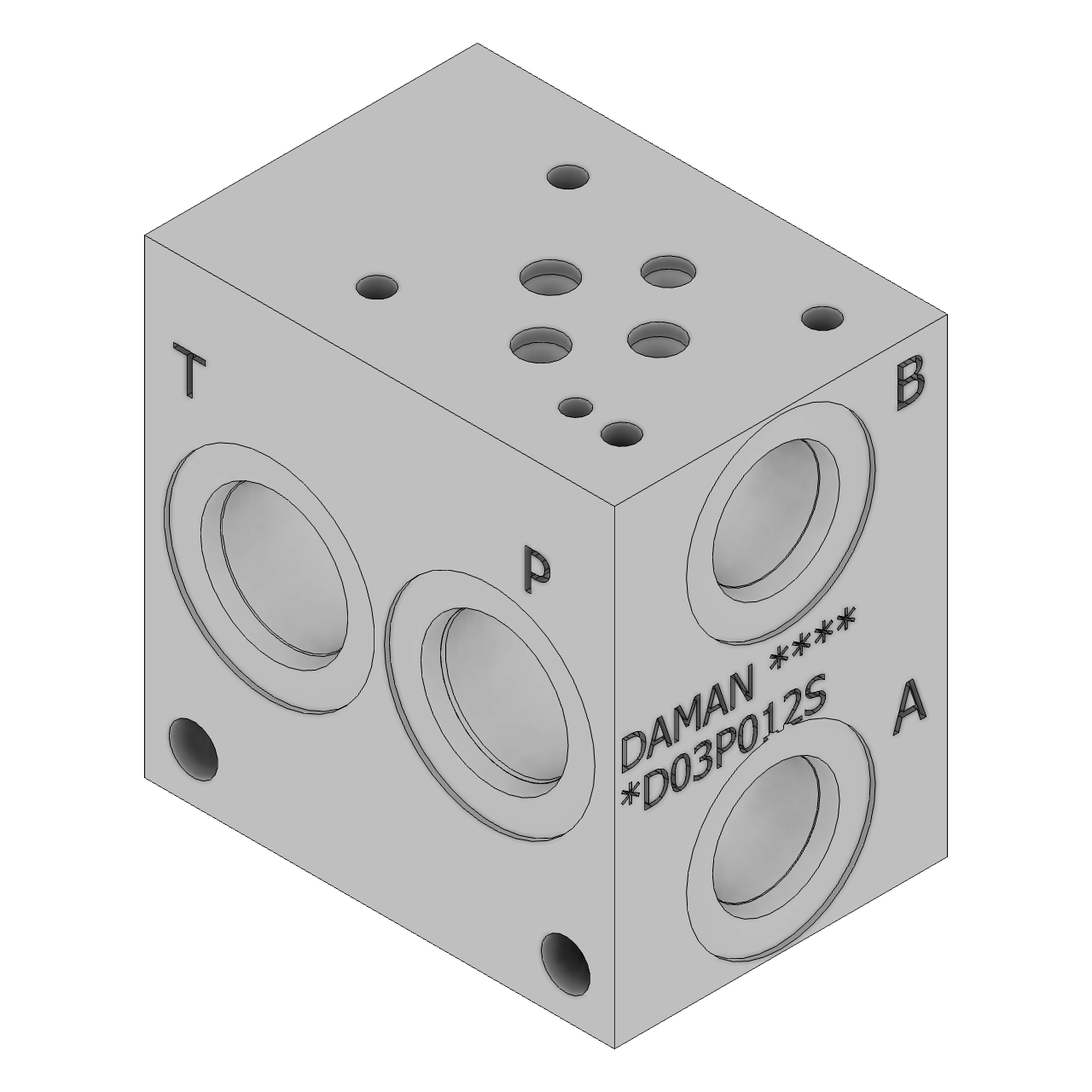 SD03P012S - Standard Manifolds