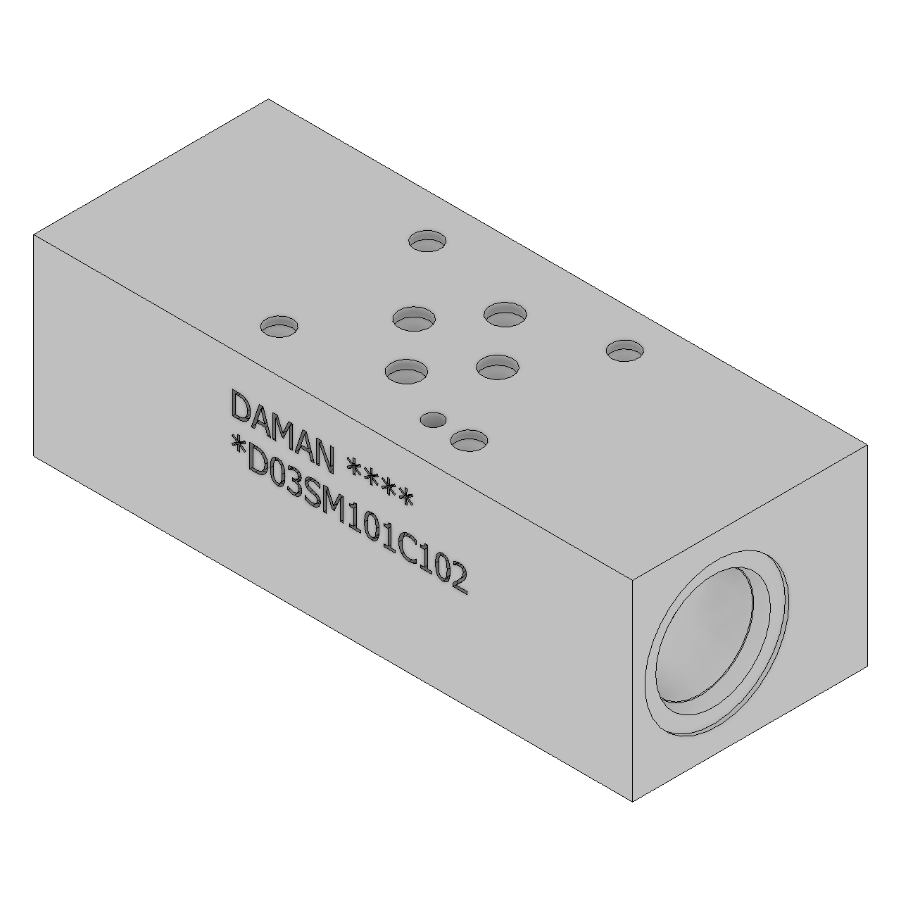 DD03SM101C102 - Sandwich Modules