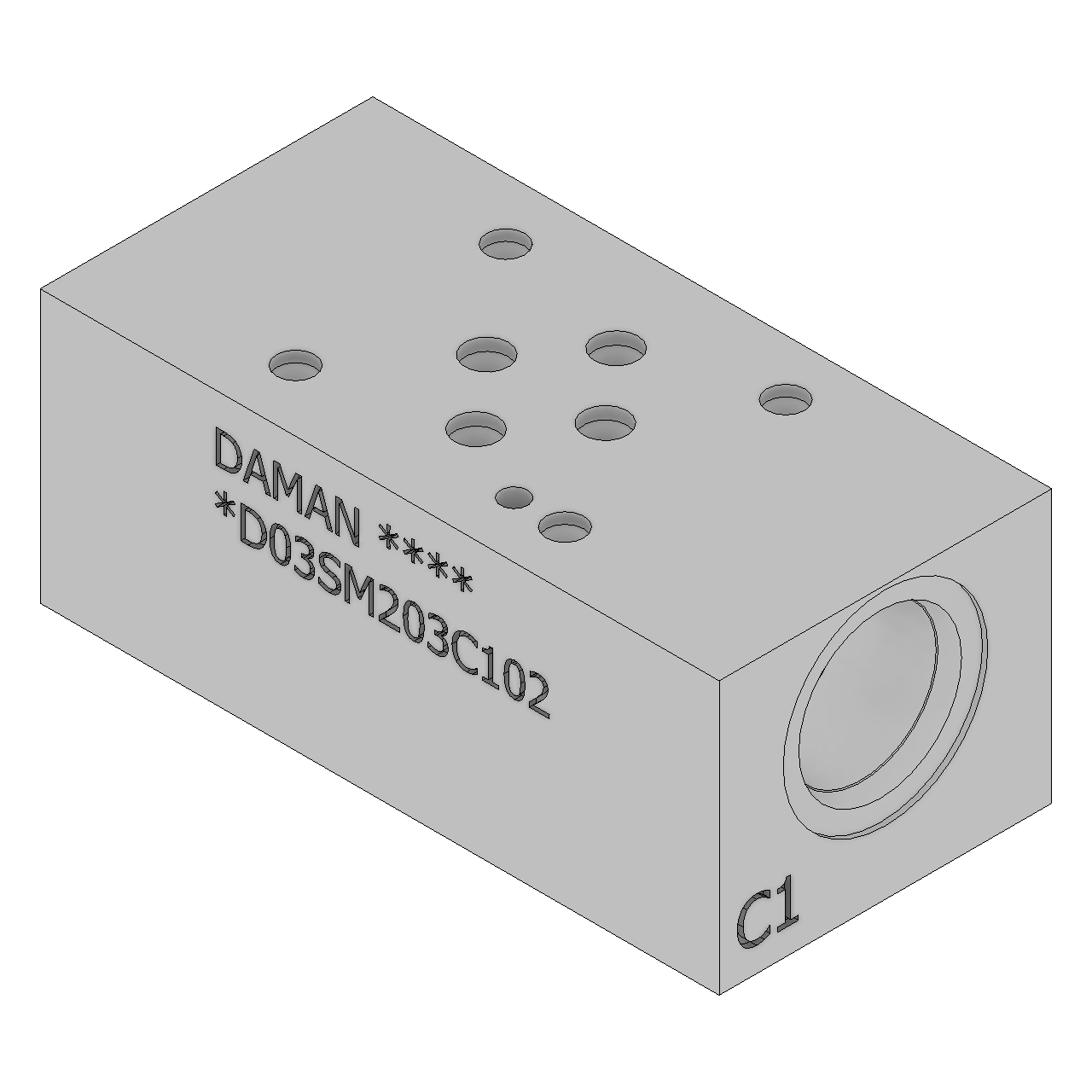 DD03SM203C102 - Sandwich Modules