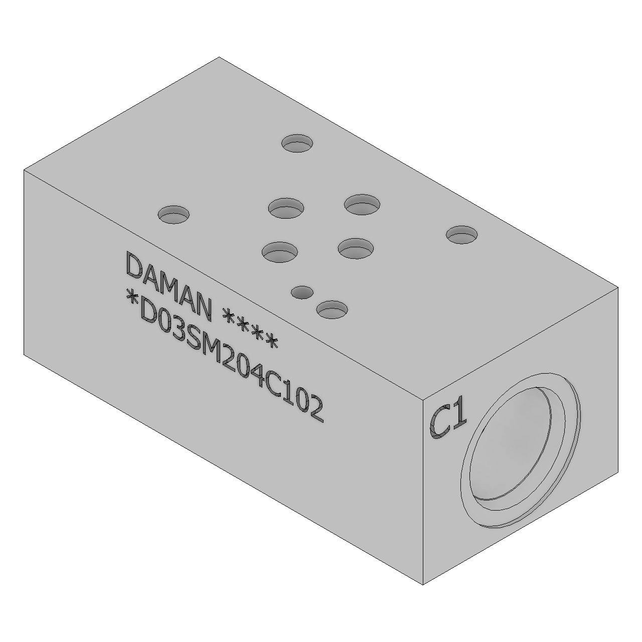 DD03SM204C102 - Sandwich Modules