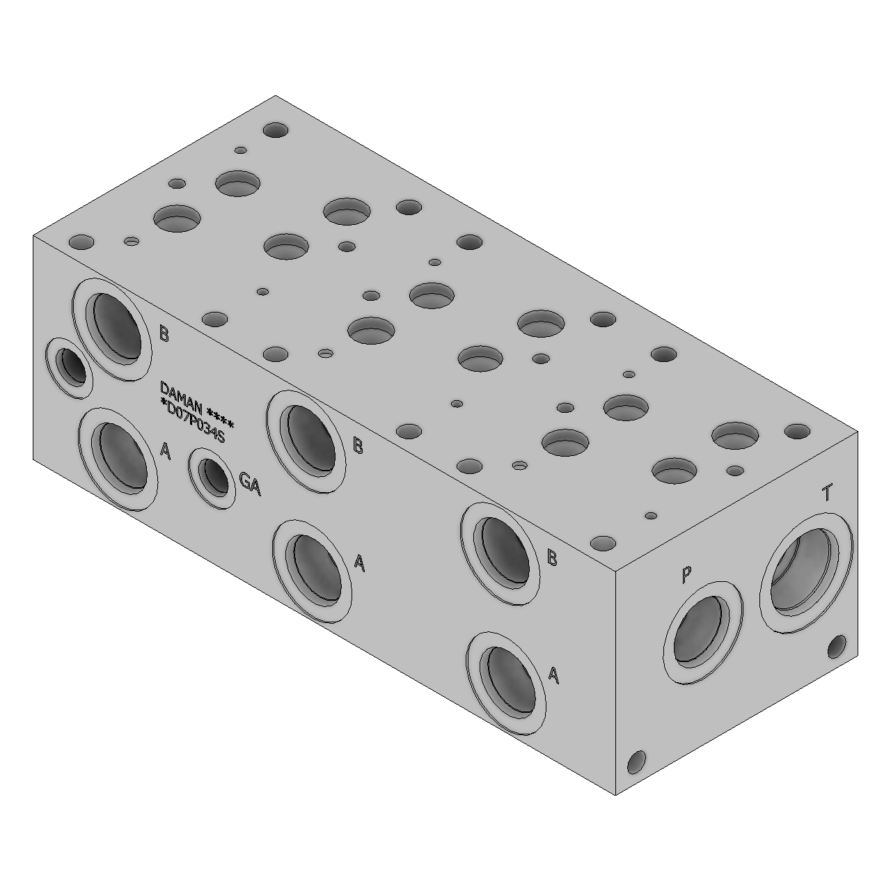 DD07P034S - Standard Manifolds