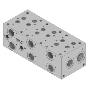 DD07P034S - Standard Manifolds