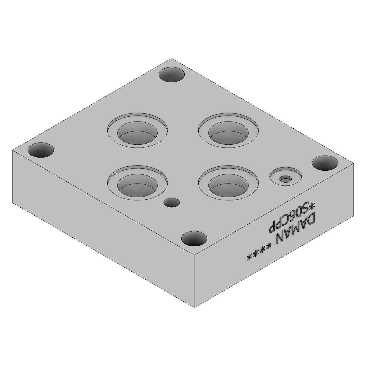 DS06CPP - Cover Plates