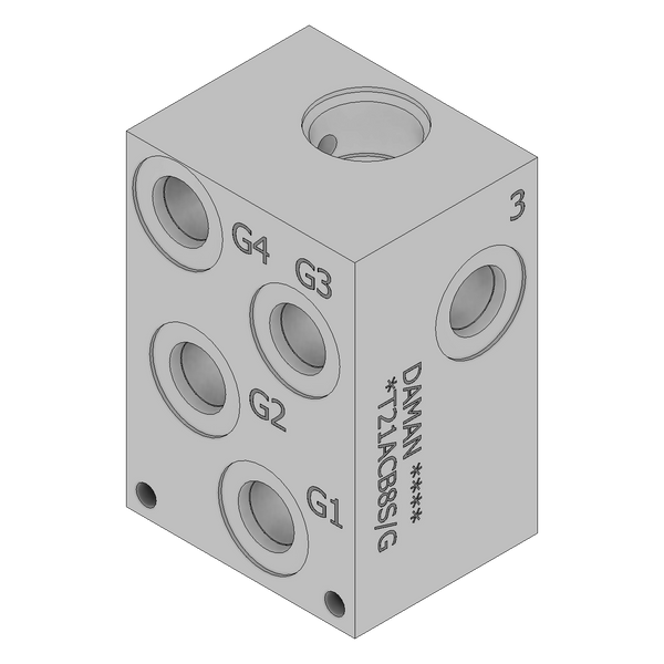 AT21ACB8S/G - Cartridge Valve Cavity Bodies