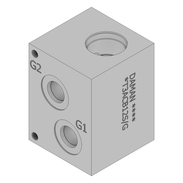 DT3ACB12S/G - Cartridge Valve Cavity Bodies